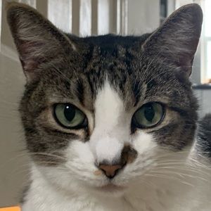 Meet your Posher, Jordan